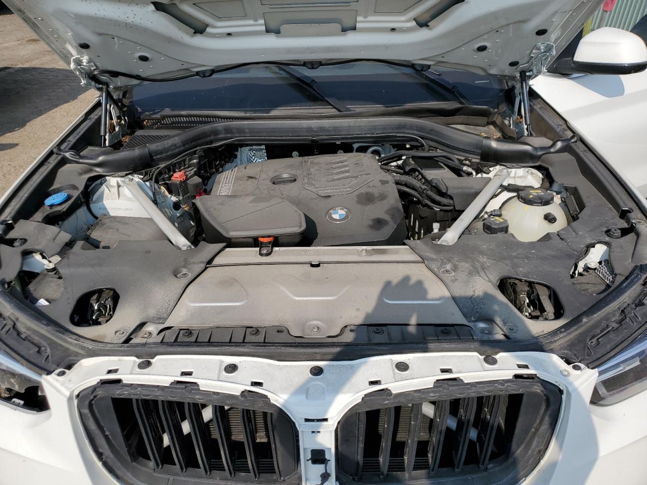 2023 BMW X3 xDrive30I VIN: 5UX53DP07P9P24105 Lot: 59464805