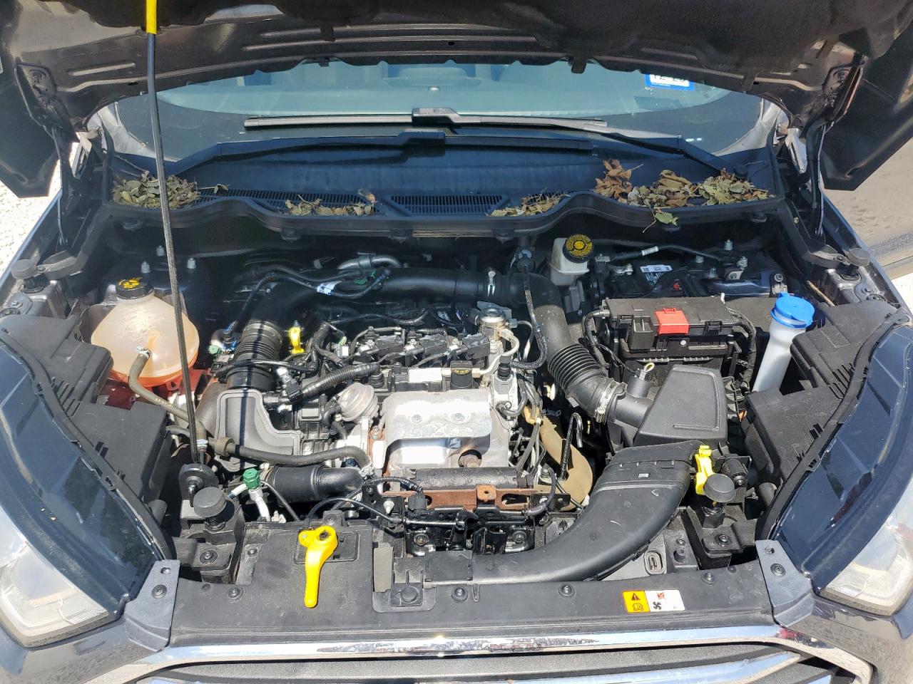 2021 Ford Ecosport Titanium VIN: MAJ3S2KE9MC452311 Lot: 60177105