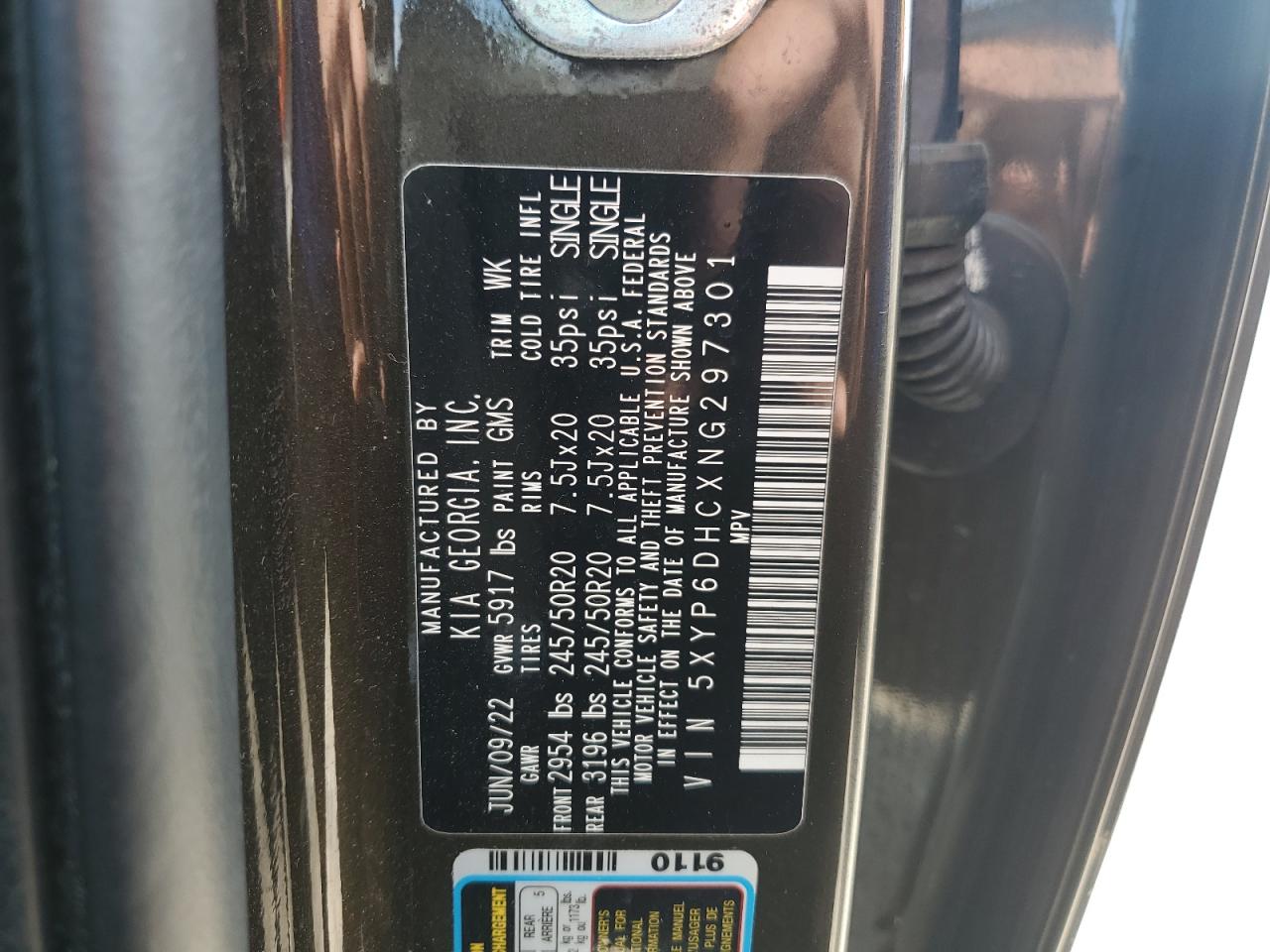 2022 Kia Telluride S VIN: 5XYP6DHCXNG297301 Lot: 59994435