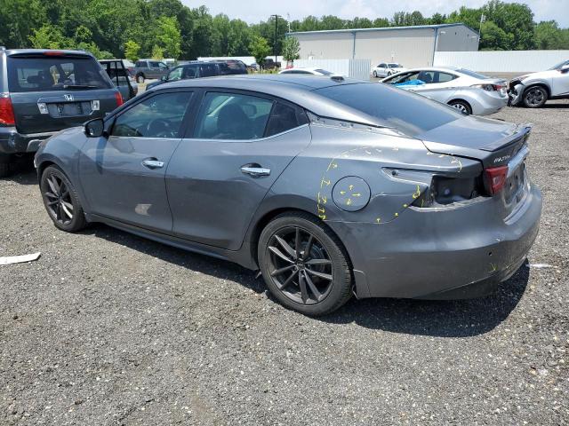 Sedans NISSAN MAXIMA 2017 Gray