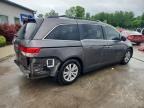 2015 Honda Odyssey Exl zu verkaufen in Louisville, KY - Rear End