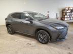 2024 Lexus Nx 350 Premium for Sale in Chalfont, PA - Water/Flood