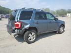 2012 Ford Escape Xlt იყიდება Marlboro-ში, NY - Rear End