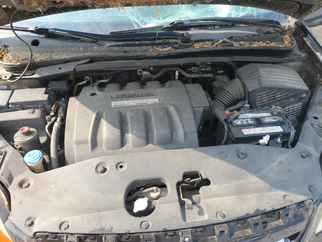 2005 Honda Odyssey Exl VIN: 5FNRL38705B071399 Lot: 59348125