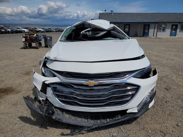  CHEVROLET MALIBU 2024 White