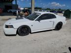 2000 Ford Mustang Gt იყიდება West Palm Beach-ში, FL - Minor Dent/Scratches