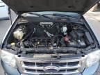 2010 Ford Escape Xlt for Sale in Arlington, WA - Front End