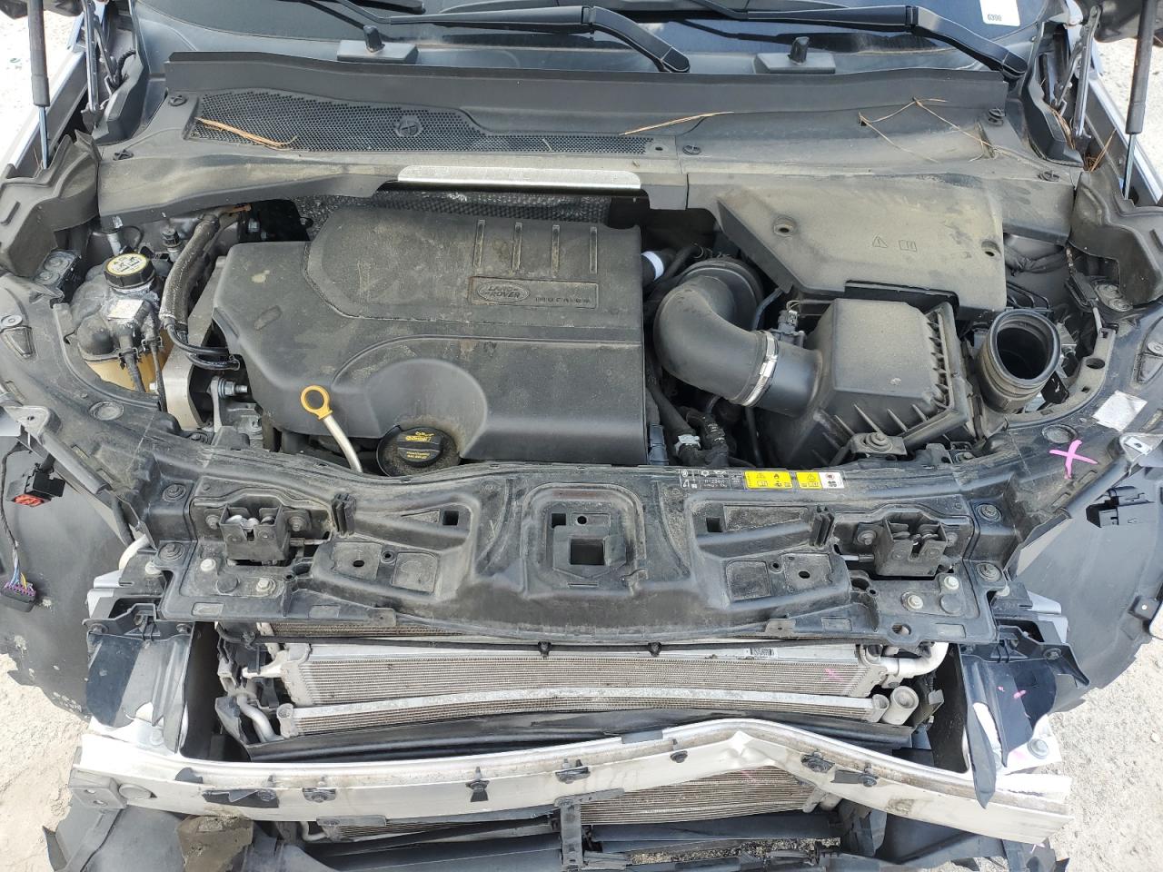 2020 Land Rover Discovery Sport VIN: SALCK2FX7LH843697 Lot: 59863245