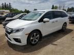 2020 HONDA ODYSSEY EX   for sale at Copart ON - TORONTO