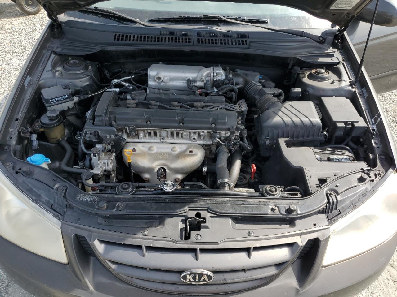 2005 Kia Spectra Lx VIN: KNAFE121255149654 Lot: 60555705