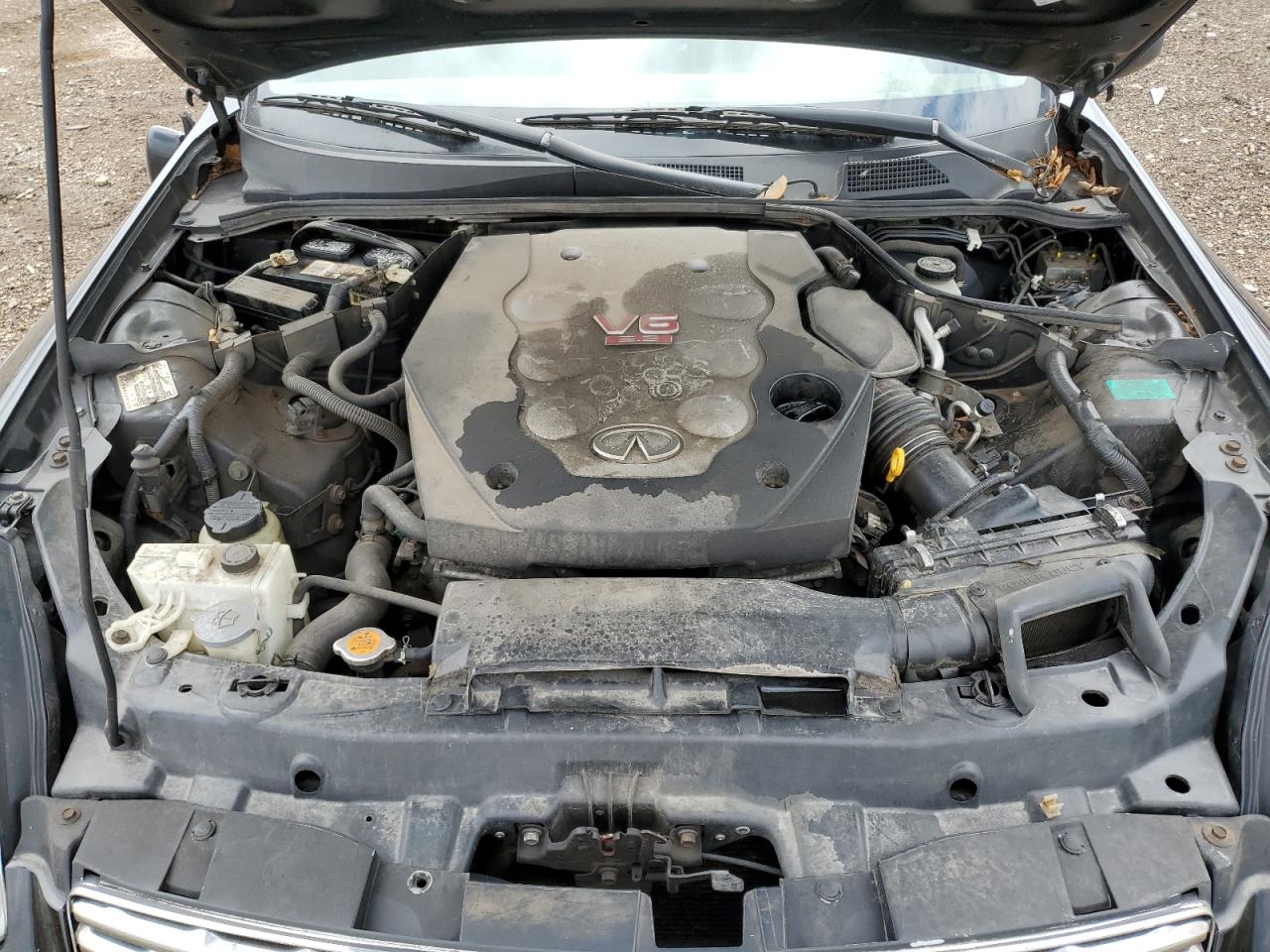 2004 Infiniti G35 VIN: JNKCV54E44M307587 Lot: 61578825