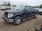 Lansing, MI에서 판매 중인 2014 Ford F150 Supercrew - Front End