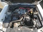 2003 Ford Mustang    на продаже в Windsor, NJ - Front End