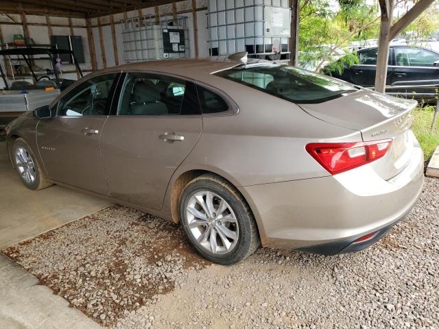  CHEVROLET MALIBU 2023 tan