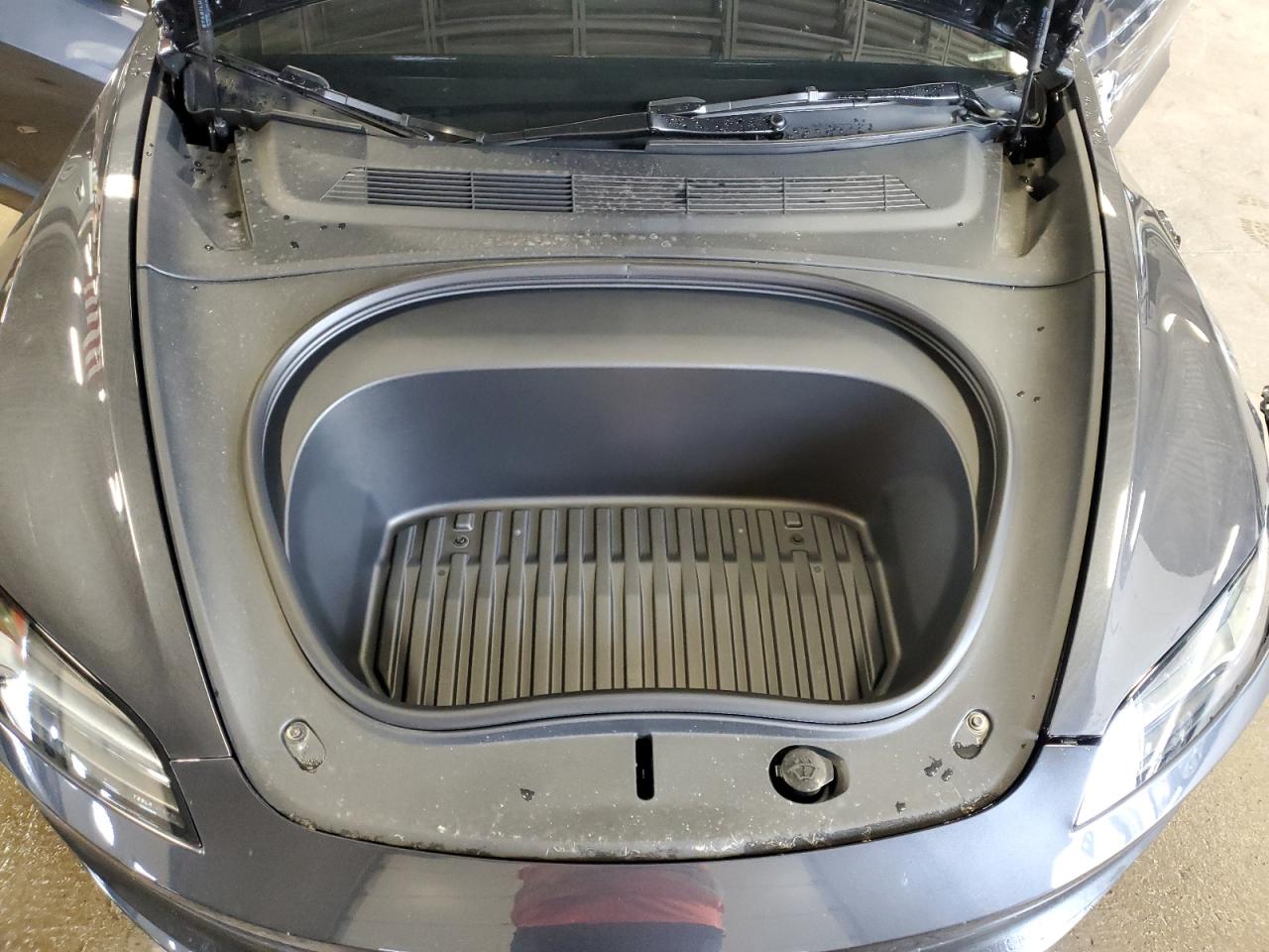2025 Tesla Model 3 VIN: 5YJ3E1EA4SF008256 Lot: 62415505