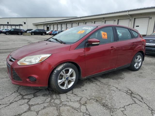  FORD FOCUS 2014 Maroon