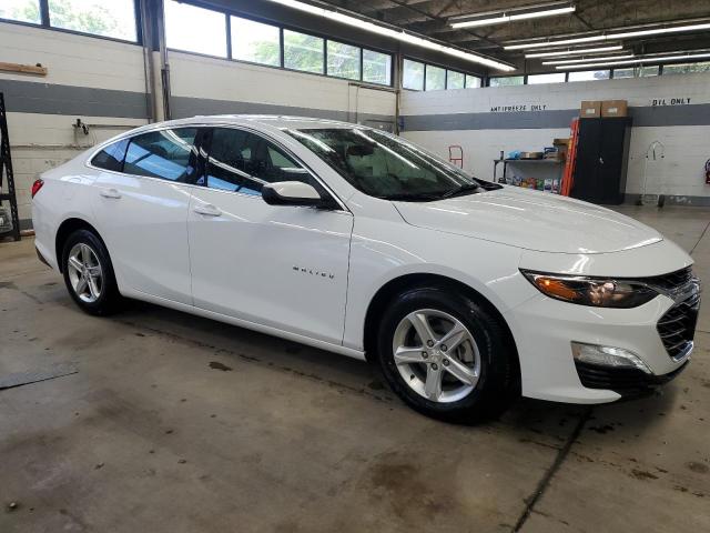  CHEVROLET MALIBU 2024 White