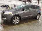 2016 Ford Escape Titanium за продажба в Avon, MN - Hail