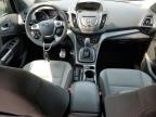 2013 Ford Escape Se for Sale in Hillsborough, NJ - Minor Dent/Scratches