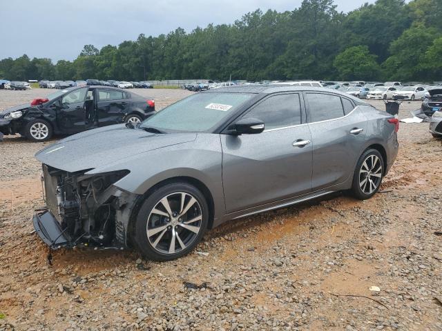 Sedans NISSAN MAXIMA 2016 Szary