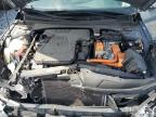 2023 Hyundai Elantra Blue zu verkaufen in Riverview, FL - Rear End