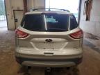2013 Ford Escape Se for Sale in Ham Lake, MN - Front End