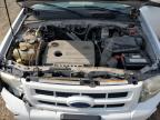 2011 Ford Escape Hybrid   for Sale in Chicago Heights, IL - Front End