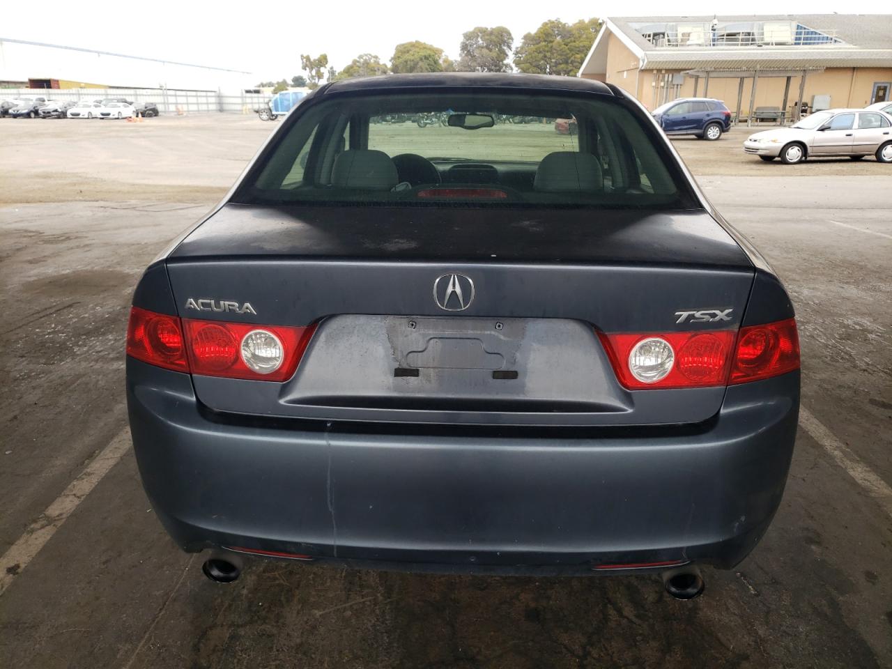 2004 Acura Tsx VIN: JH4CL96904C034411 Lot: 62396455