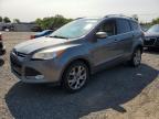 2014 Ford Escape Titanium   for Sale in Hillsborough, NJ - Side