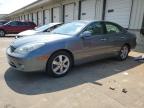 Louisville, KY에서 판매 중인 2006 Lexus Es 330 - Side