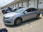 Louisville, KY에서 판매 중인 2016 Hyundai Sonata Se - Rear End