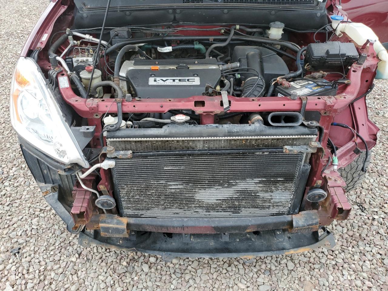2004 Honda Cr-V Ex VIN: SHSRD78874U218497 Lot: 61464805