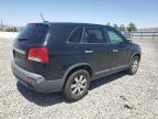 2011 Kia Sorento Base продається в Reno, NV - Rear End