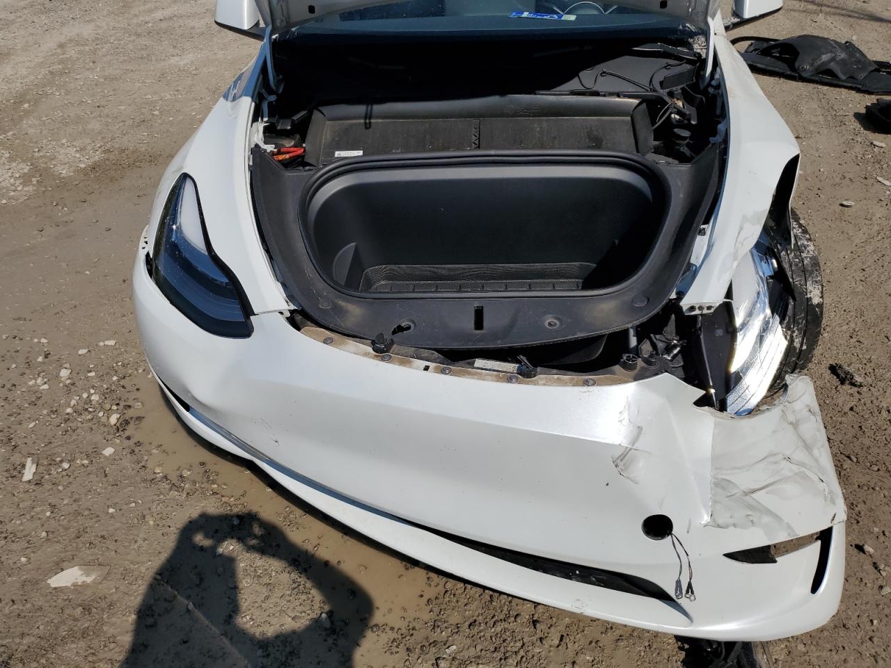 2023 Tesla Model Y VIN: 7SAYGDEEXPA153989 Lot: 62677305