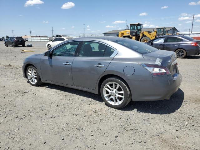 Sedans NISSAN MAXIMA 2014 Gray