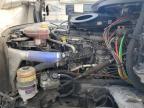 2024 Freightliner Cascadia 126  zu verkaufen in Riverview, FL - Water/Flood