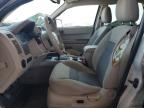 2008 Ford Escape Xlt en Venta en Phoenix, AZ - Rear End
