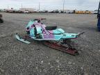 2024 'OTHER SNOW MOBILE' OTHER   for sale at Copart WA - SPOKANE