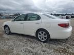 2005 Lexus Es 330 იყიდება West Palm Beach-ში, FL - Hail