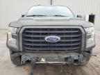 Apopka, FL에서 판매 중인 2017 Ford F150 Supercrew - Front End