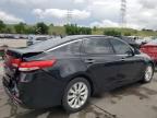 2016 Kia Optima Ex for Sale in Littleton, CO - Rear End