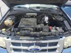 2010 Ford Escape Xlt zu verkaufen in Gastonia, NC - Front End