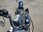 2008 Harley-Davidson Flstc  for Sale in Littleton, CO - Rollover
