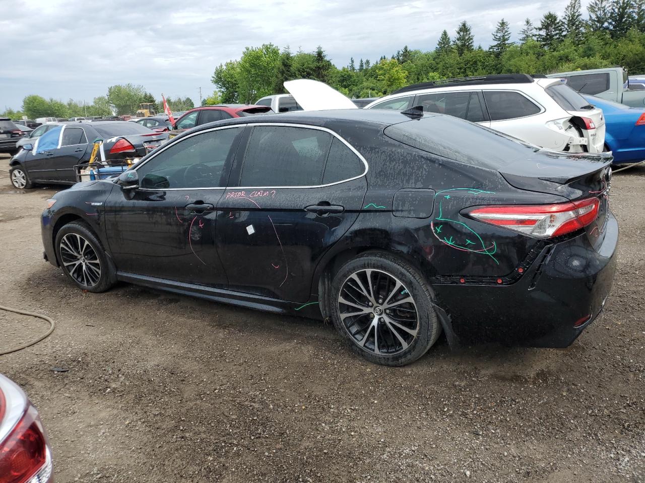 2019 Toyota Camry Hybrid VIN: 4T1B21HKXKU511026 Lot: 60199655