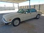 1985 Jaguar Xj6  zu verkaufen in Anthony, TX - Minor Dent/Scratches