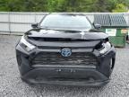 2024 Toyota Rav4 Le   за продажба в Albany, NY - Front End