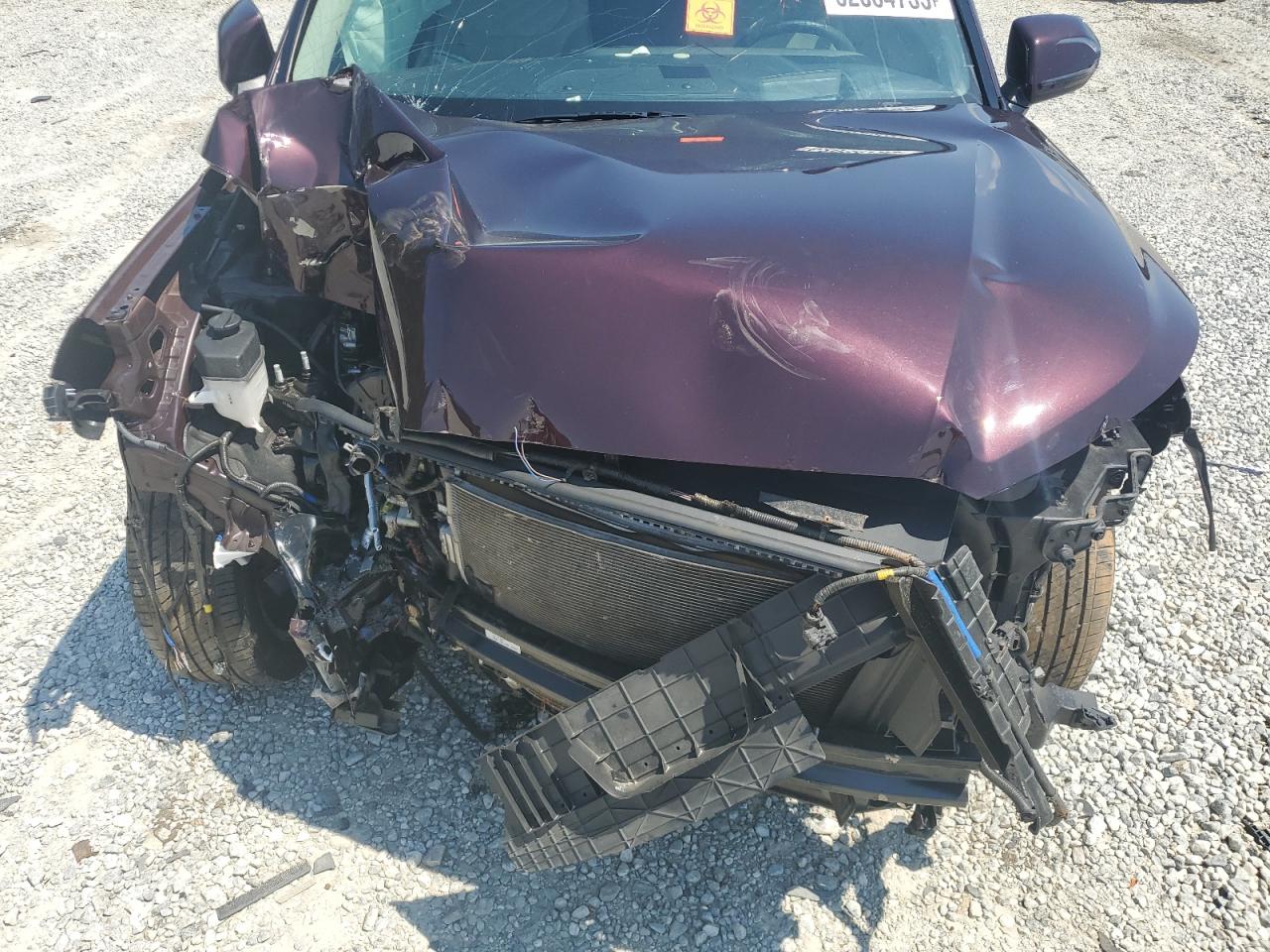 2021 Hyundai Palisade Limited VIN: KM8R5DHE5MU300059 Lot: 62034735