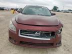 2013 Nissan Maxima S for Sale in Temple, TX - Front End