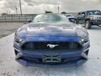 2019 Ford Mustang  for Sale in Haslet, TX - Hail
