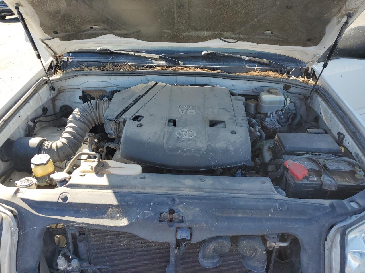 2005 Toyota 4Runner Sr5 VIN: JTEBU14R358036443 Lot: 61609595